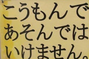 花火の上に座った男性、爆発で内臓が破壊され死亡。動画が出回る