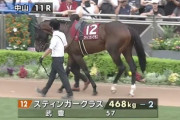 スティンガーグラスは登録している有馬記念を謎の回避