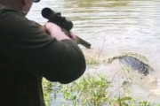 【画像】飼っていた馬をワニに食べられたテキサスのババア(73)、報復に出るｗｗｗｗｗｗ