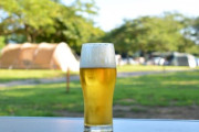 【悲報】ビールって糞不味いのになんで皆無理して美味いとか嘘ついて飲んでるの？