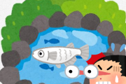 【画像】アクア民さん、公園の池で改良メダカを発見　何者かが放流した？