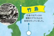 【徐教授】 独島のアシカ絶滅させながら…日本「竹島でアシカ捕獲していた」歪曲展示 [11/2]  [仮面ウニダー★]