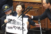 れいわ大石晃子氏、衆院本会議の壇上で4分アピールし強制降壇 「やはり自民党はぶっ倒すしかない」