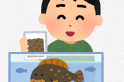 子供達がヒラメの稚魚を育てて命を大切さを知った結果 → 食べる