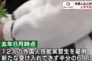 【奴隷商売】日本の農家さん「技能実習生が来なくて稼げないの！時給１００円上げたのに実習生が逃げ出したの！！！」