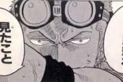 【ONEPIECE -ワンピース】ゾロ「三十六煩悩砲！」「獅子ソンソン！」「飛竜・火炎！」