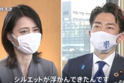 【悲報】小泉レジ袋担当大臣「俺のやったレジ袋有料化は続けろよ」　岸田「知らんわボケ」