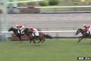 ダノンバラード種牡馬大成功！！！