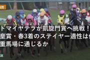 アドマイヤテラが凱旋門賞へ挑戦！天皇賞・春3着のステイヤー適性は仏の重馬場に通じるか
