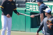 【阪神】佐藤輝が「どすこ～い」の西武・山川からバットをおねだりされた⁉