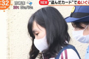 【画像あり】盗んだクレジットカードでぬいぐるみ買って逮捕された可愛い女さんwwwwwwwww
