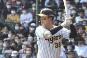 矢野阪神、セカンドは小幡に決めたもよう
