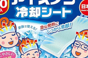 白元アース アイスノン 冷却シート 30枚入がタイムセール特価で723円に！