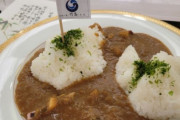 また登場した竹島カレー…竹島の日20周年を迎えた島根県が提供＝韓国の反応
