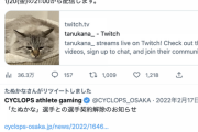 【朗報】プロゲーマーたぬかなさん、例の炎上から1年の沈黙を経て活動再開