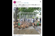 【SNS】奈良公園に設置された「暑さ対策ミスト」、シカに占拠される⇒人間は「シカたない」「奈良公園ではシカがルール」
