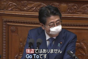 ゆきぽよ「安倍首相は年収4000万円に見合う仕事してない」　→愛国者「！！！！」ｼｭﾊﾞﾊﾞﾊﾞ