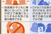 【緊急】共同親権、ガチでヤバイｗｗｗｗｗｗｗｗｗｗ