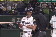 【日本シリーズ】 青木宣親、逆達川！ 「死球ではなくファール」と自己申告