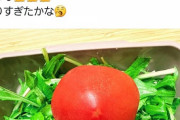 【悲報】まんさん、夫の弁当をトマト丸ごと1個にしてガチ切れされてしまう