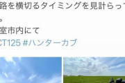 【悲報】カブ乗りの男性が北海道の牧草地に無断で入って撮影し炎上