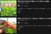 保護猫の動画を投稿していた｢タイピー日記｣が広告停止に　猫を拾った動画がヤラセレスキューと認定か