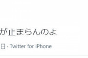 【悲報】みけねこさん、色々な思いで涙がとまらない。