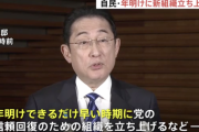 【悲報】岸田首相「できるだけ早い時期に党の信頼回復のための組織を立ち上げる」