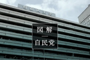 党員113万人のうち組織票は3～４割。 日本医師連盟、日本歯科医師連盟、日本薬剤師連盟、日本看護連盟、賃貸住宅、左官、建築板金業、行政書士、建設・郵便など、各組織の利益を優先