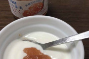 ヨーグルトを何も入れないで食う奴wwwww