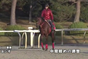 ヨシオ、2週連続でシンガリ負け
