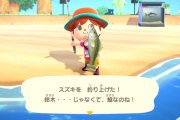 あつまれどうぶつの森 英語版ローカライズ担当者が開発秘話を公開 うんざりほど釣れるスズキにポジティブな印象を与えるちょっとした工夫