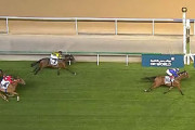 【ドバイターフ】ヴァンドギャルドが2着！英ロードノースが完勝