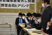 【学問の自由（笑）】立憲民主党と共産党が必死に守ろうとしている日本学術会議、中国の為に日本の素粒子研究を潰していたｗｗｗｗｗｗｗｗｗｗ
