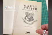 狂ったポリコレ製本業者さん、『ハリー・ポッター』シリーズの本から作者J・K・ローリングの名前を消して再販し始める