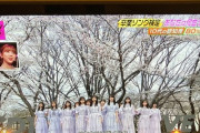 【CDTV】乃木坂46「サヨナラの意味」の10代認知度 80%←これわりとすごくね？