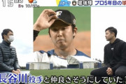 【朗報】日ハム長谷川凌汰、友達ができる
