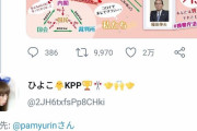 きゃりーぱみゅぱみゅがツイートした安倍首相と検察の相関図が酷すぎると話題にww |  大体合ってる