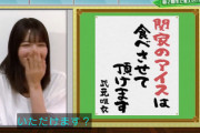 【欅坂46】関家のアイスは食べさせて頂けます