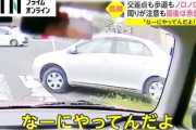 【動画】高齢者運転の車　ノロノロ逆走し交差点に突入　歩道に乗り上げそのまま走り去る