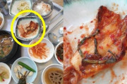 【悲報】韓国人「韓国のカルビレストランで残飯を出し炎上！」釜山カルビ店が残飯のキムチを出し通報されてしまう　韓国の反応