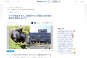 【悲報】役所に電話してくるクマクレーマー、「クマを殺すな」から「クマを絶滅させろ」に変化
