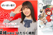 【日向坂46】小坂菜緒が語る『はたらく細胞』
