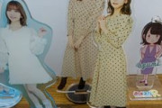 声優の実写アクリルスタンド買ってるやつって、若干キモくない？