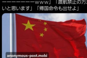 中国「日本許さねぇ！中国人は日本への渡航をしばらく避けるように」⇒ 中国の大手航空3社も日本行きの便は無料でキャンセルへ！！⇒ 日本人大歓喜へｗｗｗ！！