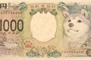 なら逆に誰が新一万円札に描かれてたら納得したんだよw