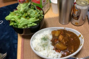 ニートだけどカレー作ったｗｗｗ（※画像あり）