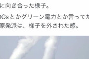 EUは原発をグリーンな投資先と認定SDGsとかグリーン電力とか言ってた反原発派は、梯子を外された感