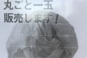 【悲報】サイゼリヤさん、混乱に乗じてとんでもないレタスを販売してしまう…ｗｗｗ