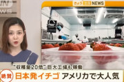 【悲報】工場製造のイチゴ、アメリカで爆売れ。もう終わりだよこの世界ｗｗｗｗ